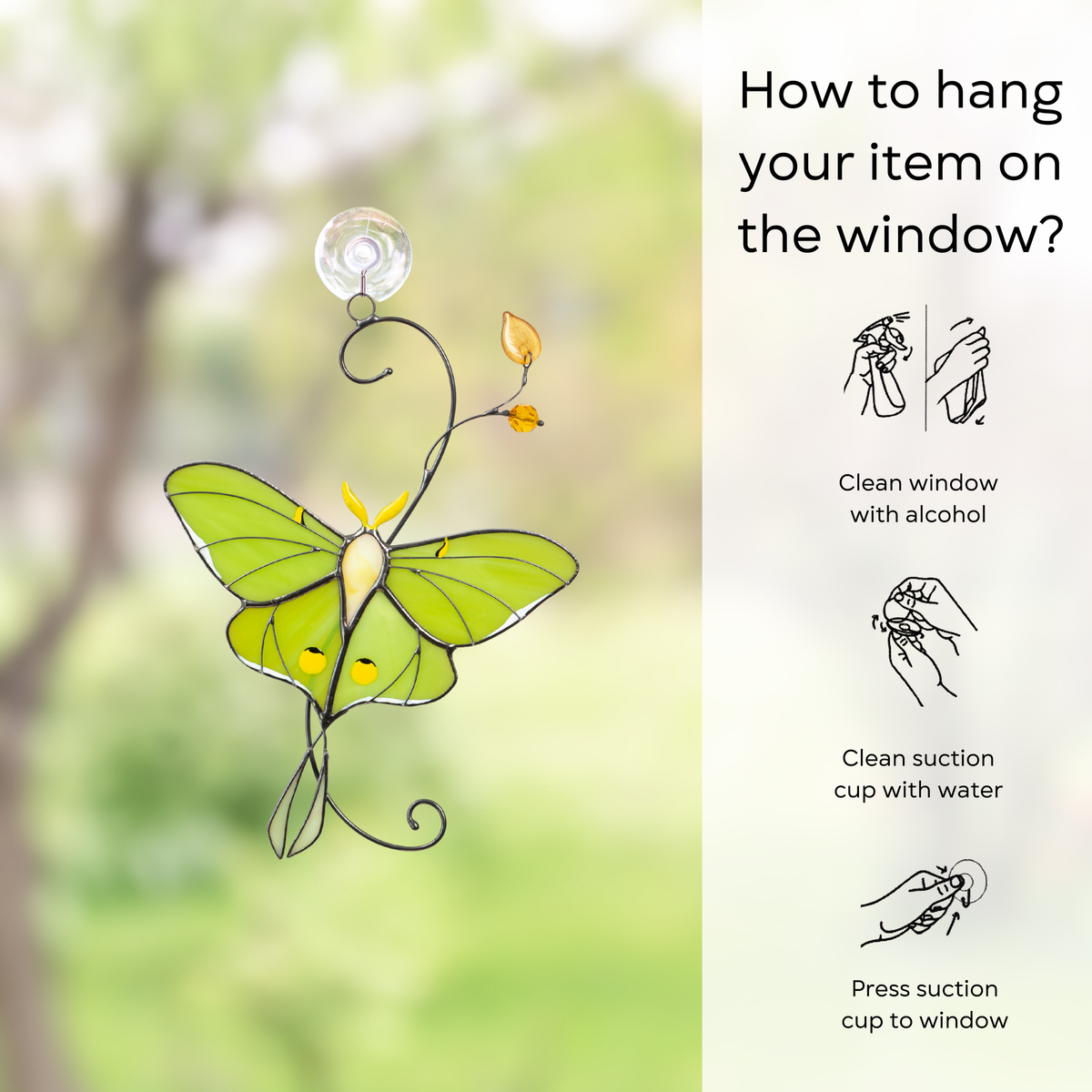 Luna moth suncatcher displayed on a window next to illustrated hanging instructions using a suction cup: clean window and suction cup, press a cup to the surface.