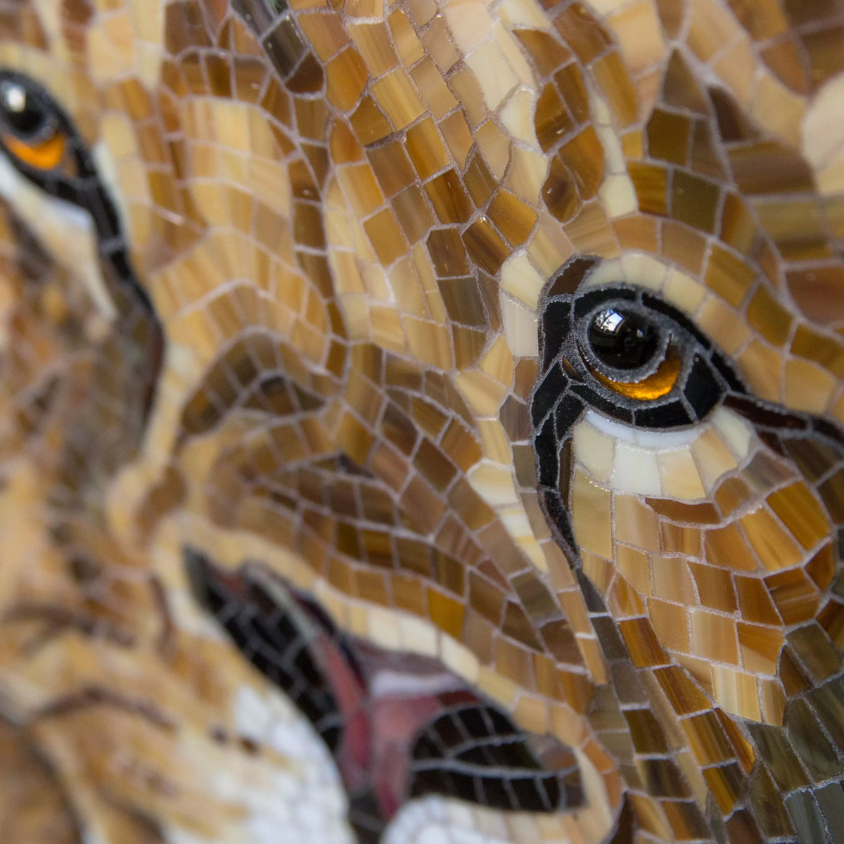 Detailed close-up of lion mosaic showing textured eyes and nose area made from multicolored glass pieces.