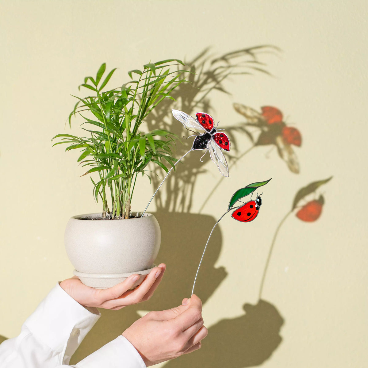 Hands holding a potted plant with stained glass plant stakes featuring ladybugs and flowers against a beige wall.