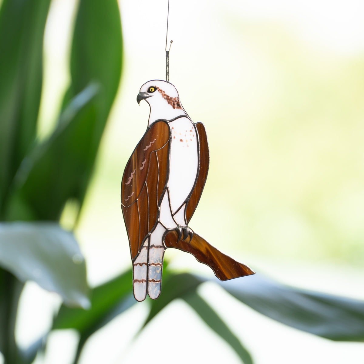Osprey sitting on the branch suncatcher of stained glass