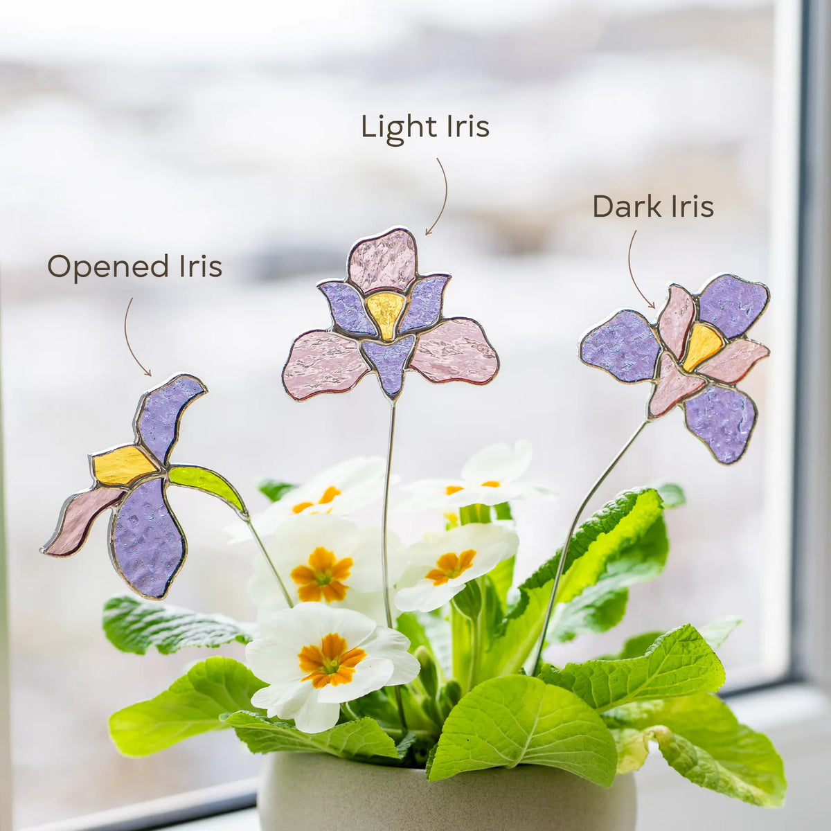 Variation of stained glass flowers labeled 'Light Iris', 'Dark Iris', and 'Opened Iris' on a blurred window background.