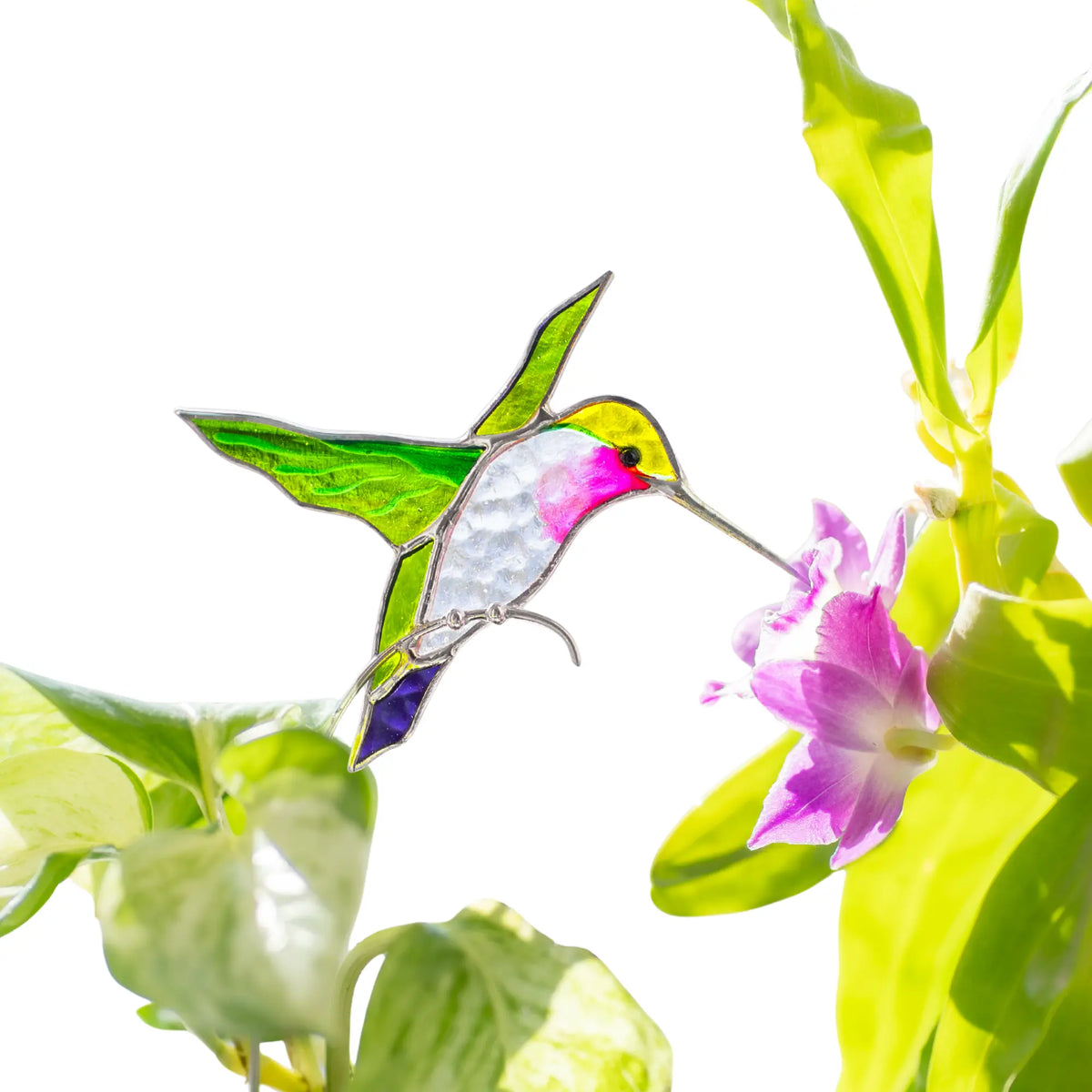Stained glass hummingbird plant stake with green leaves and a pink flower on a white background