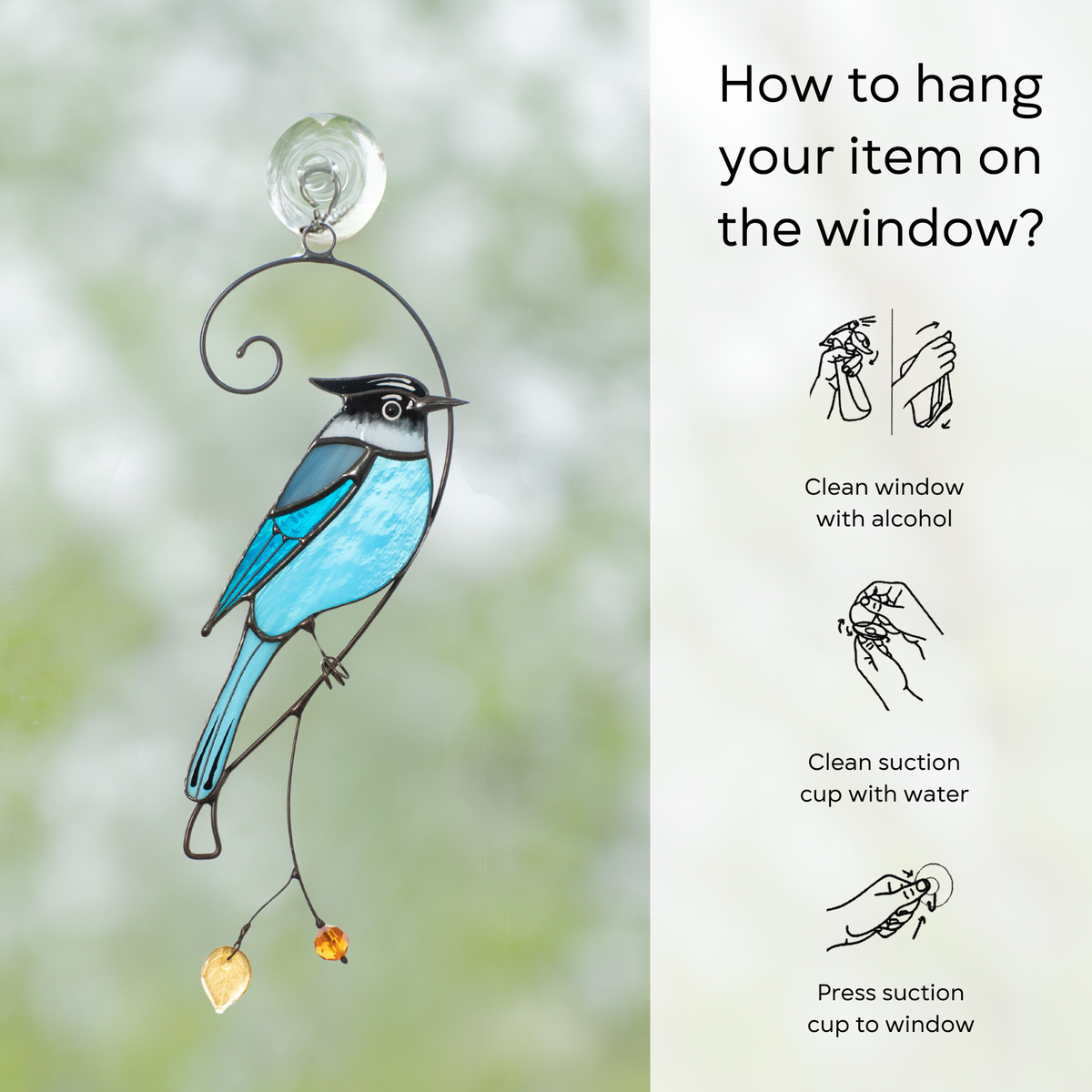 Hanging guide for Steller’s jay stained glass suncatcher, with suction cup and three illustrated mounting steps: clean window and suction cup, press cup to the surface