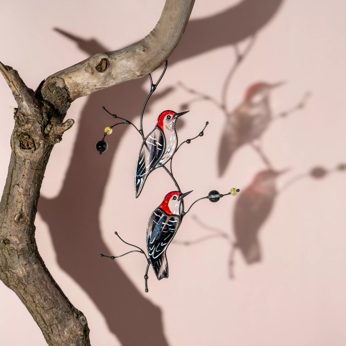 The pair of woodpeckers suncatcher hanging from a branch, casting a detailed and colorful shadow on a light pink surface in direct sunlight.