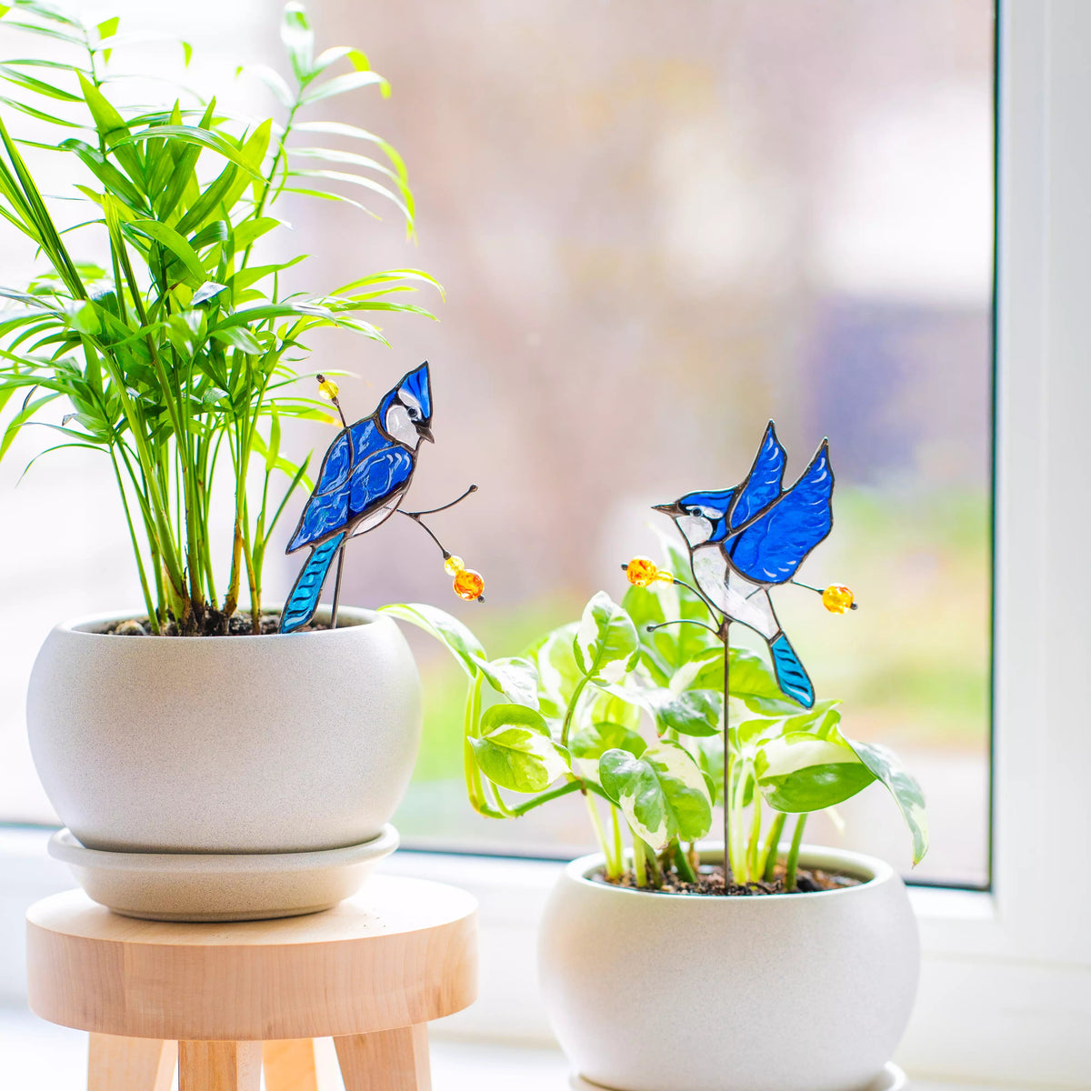 Two potted plants with stained glass blue jays on a blurred indoor background