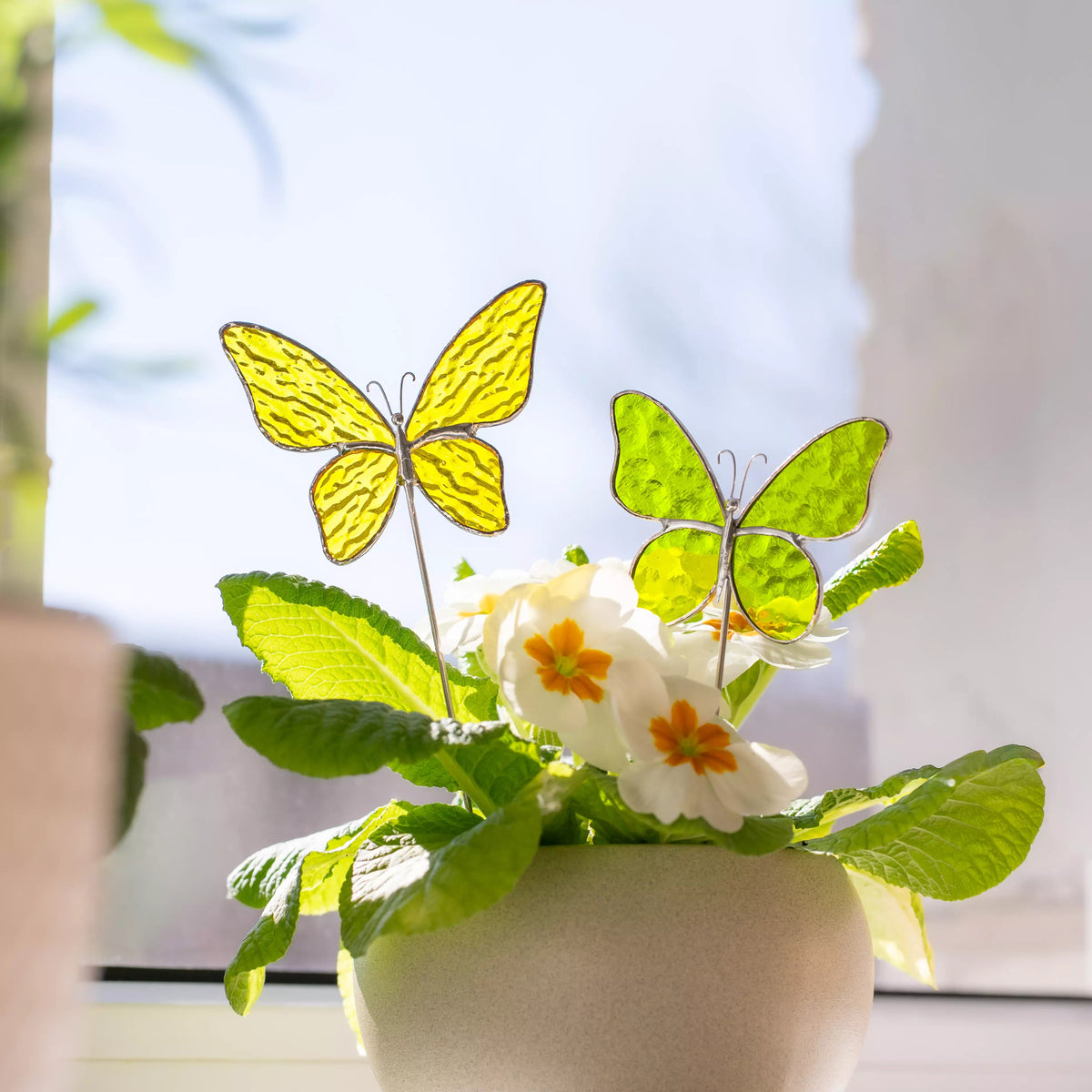 A yellow butterfly and a green butterfly stained glass stake placed in a pot with white primrose flowers, illuminated by bright sunlight.